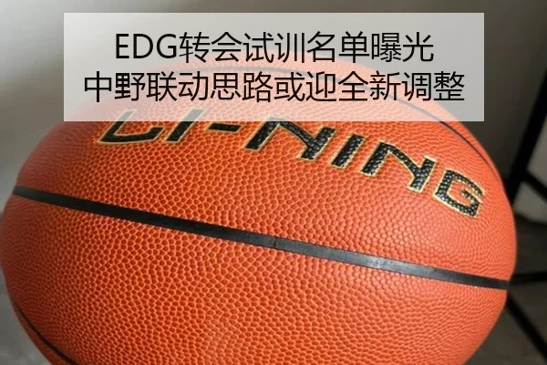 EDG转会试训名单曝光 中野联动思路或迎全新调整